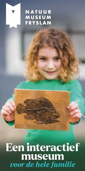 Natuurmuseum Fryslân - Leeuwarden