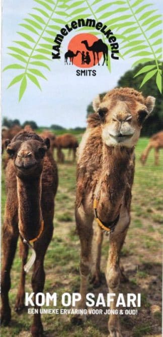 Kamelenmelkerij Smits - Belicum