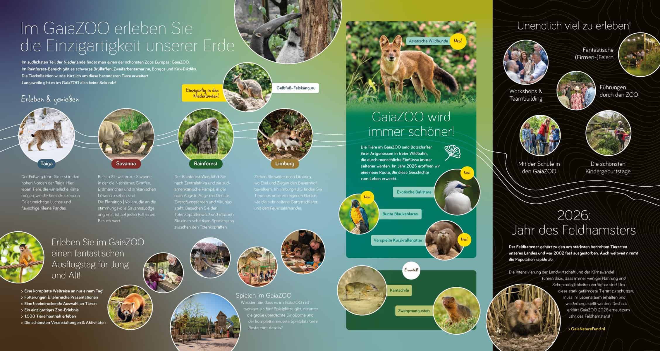 GaiaZOO Kerkrade + kortingsbon van € 2,50Duitstalig - Afbeelding 3