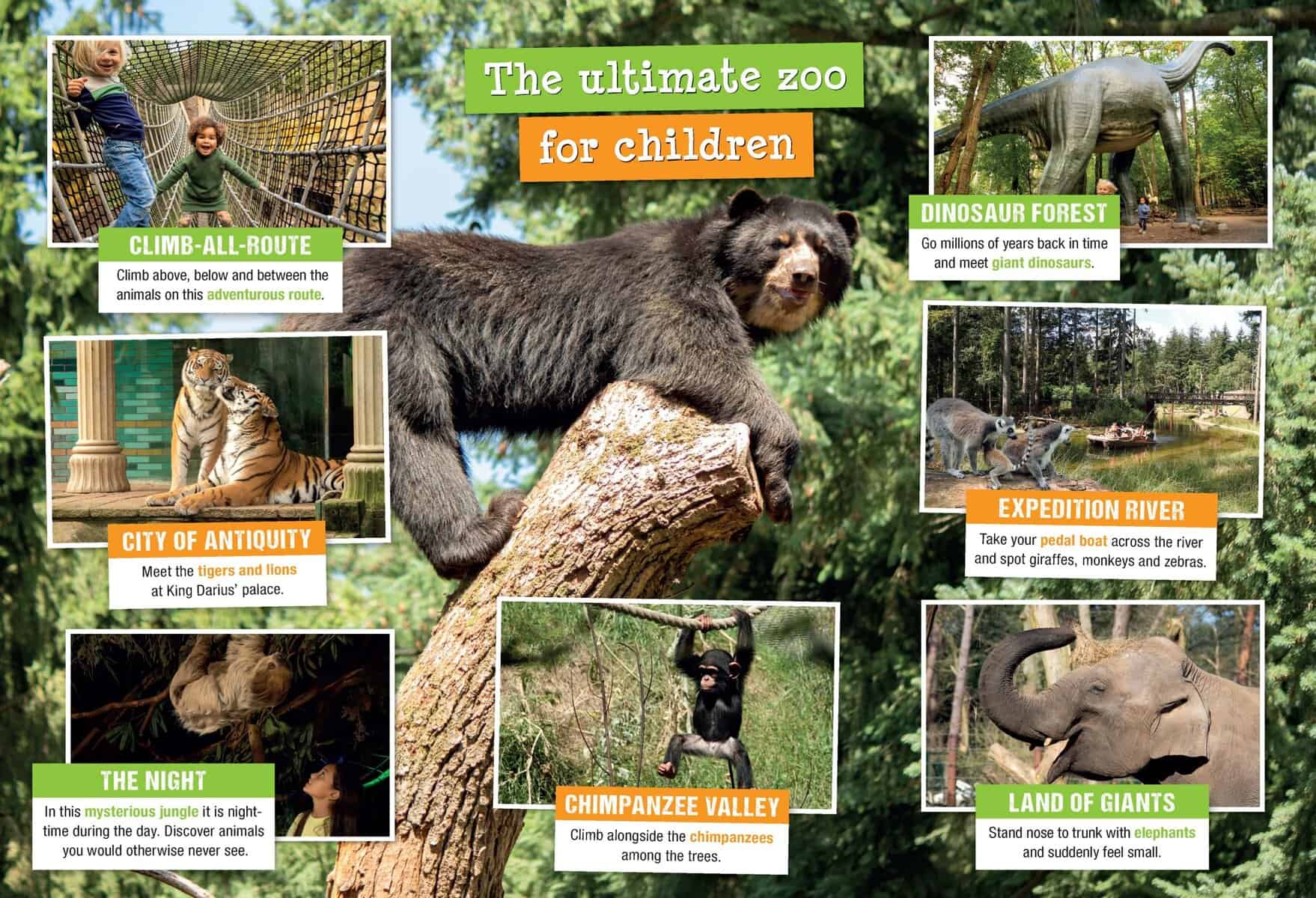 Dierenpark Amersfoort (Duits en Engelstalig) - Afbeelding 2