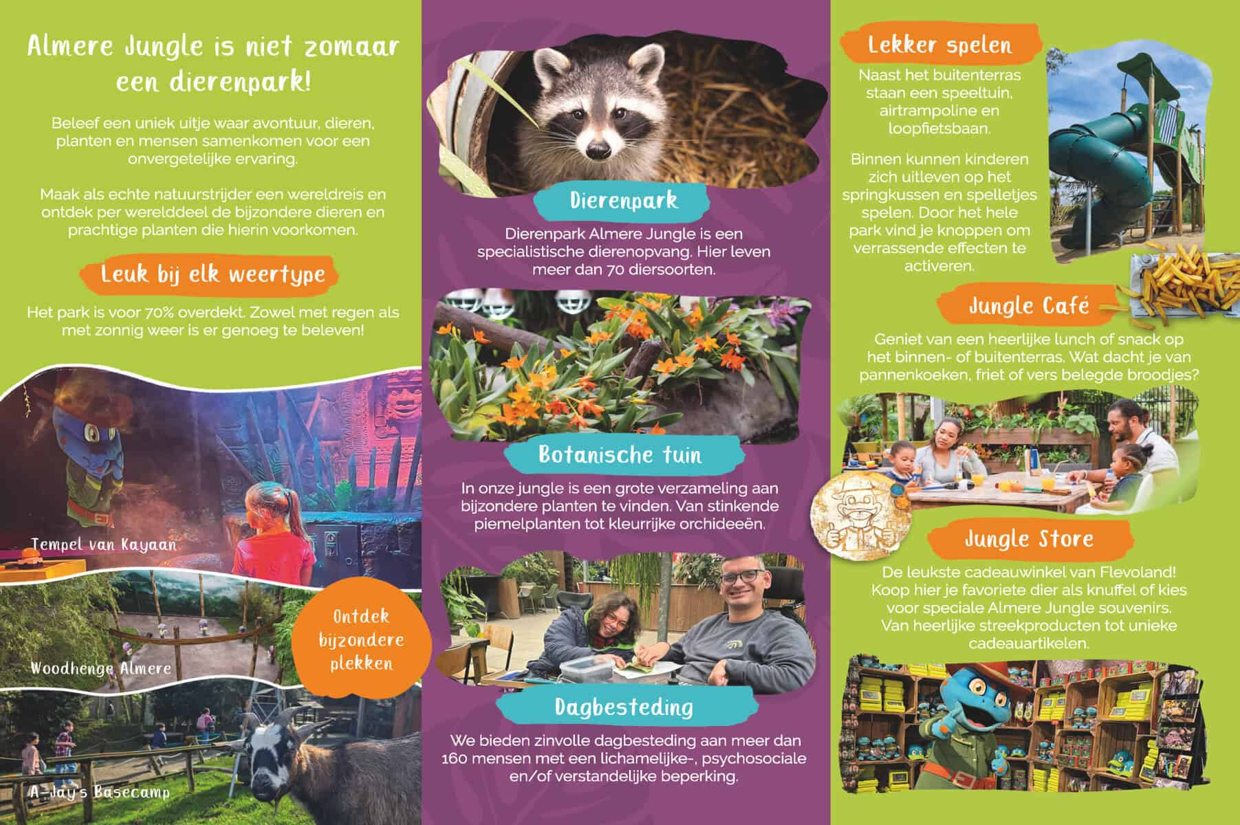 Almere Jungle - Afbeelding 3