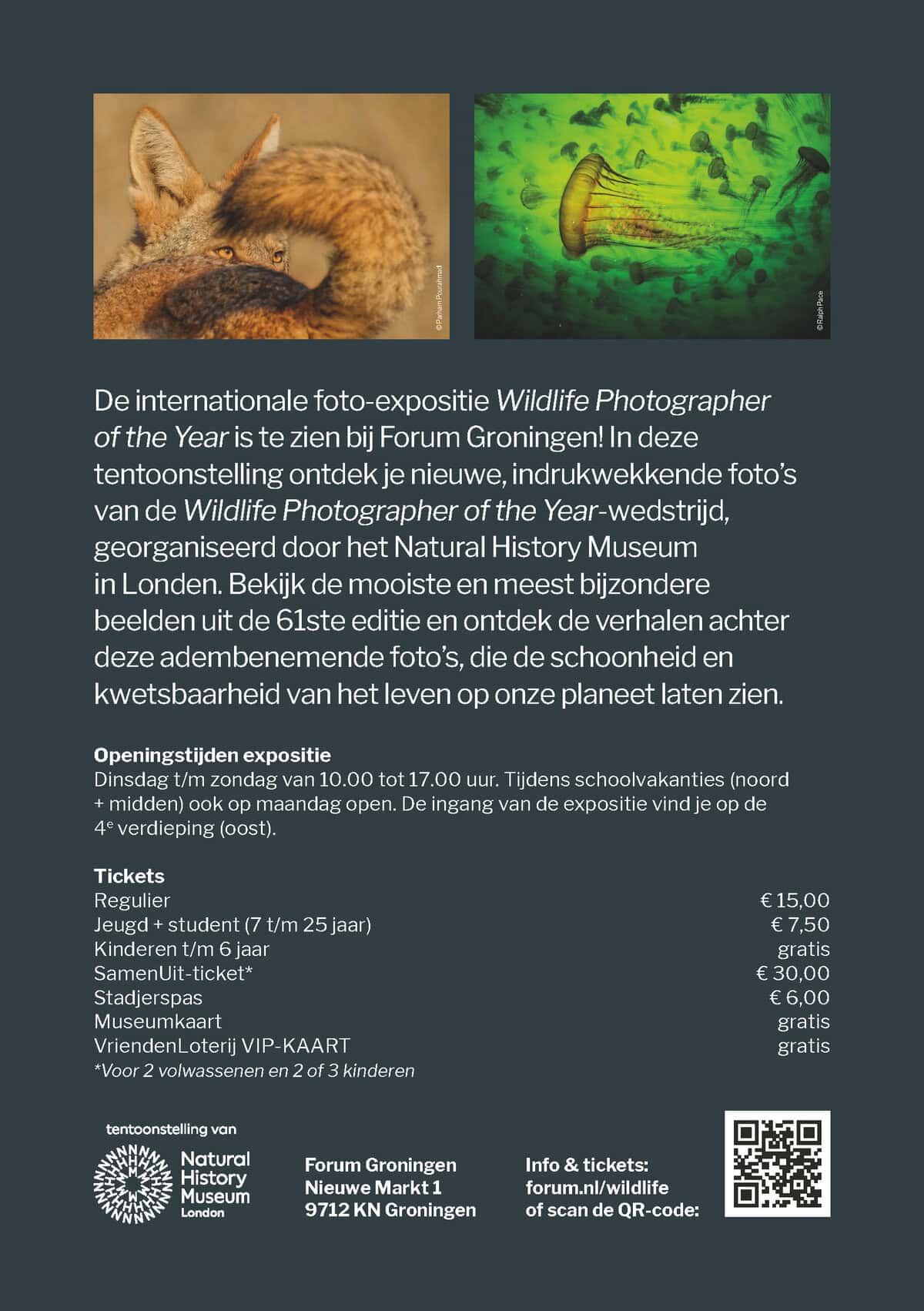 Forum Groningen - Afbeelding 2