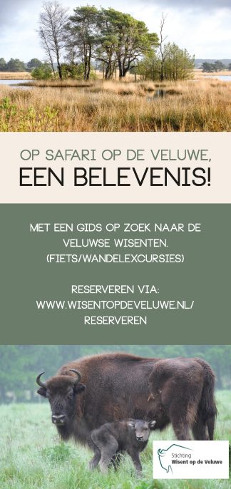 Safari op de Veluwe