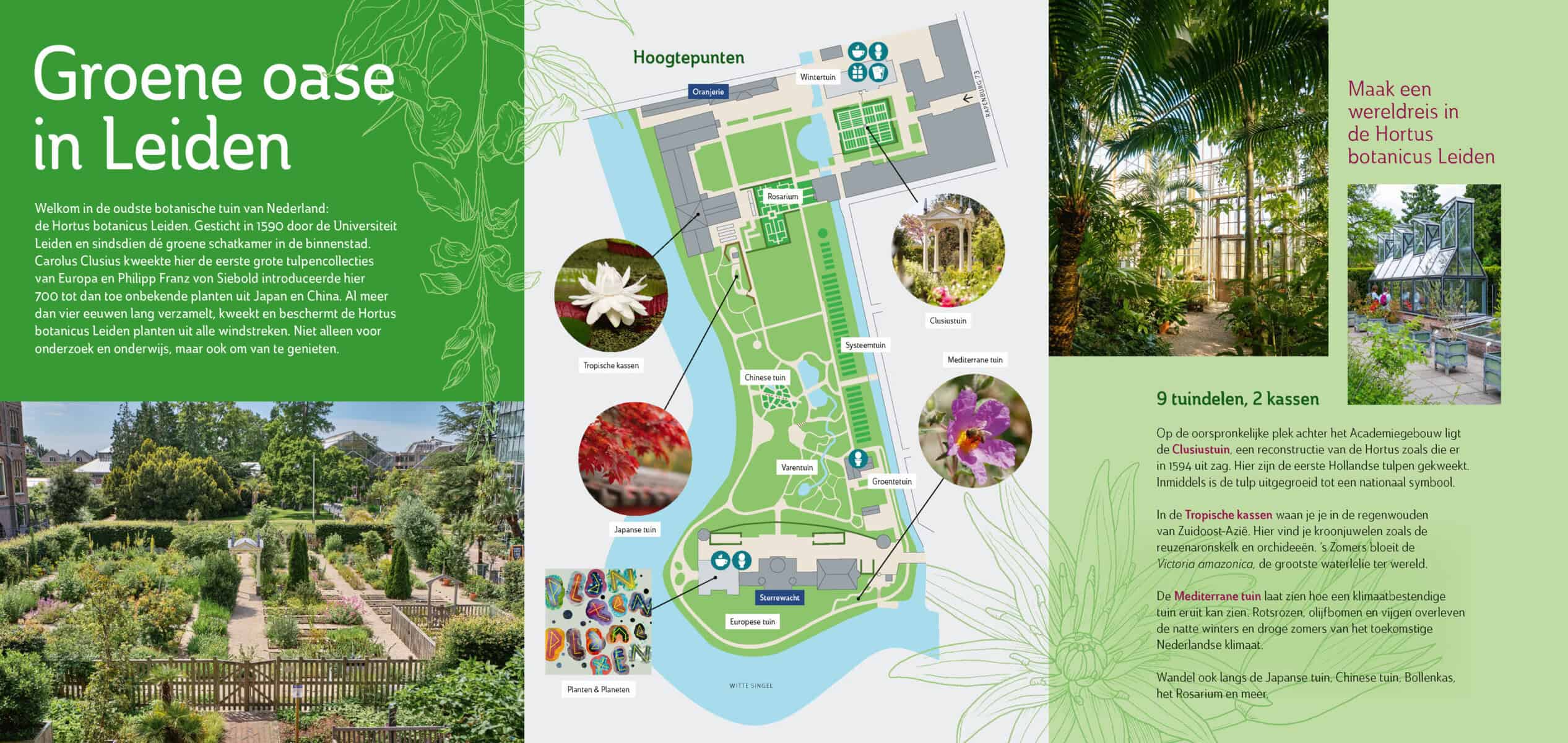 Hortus Botanicus Leiden - Afbeelding 2